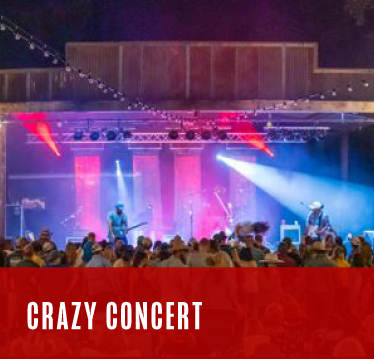 Crazy Concert